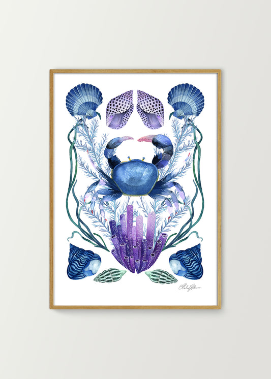 Seapattern Placement