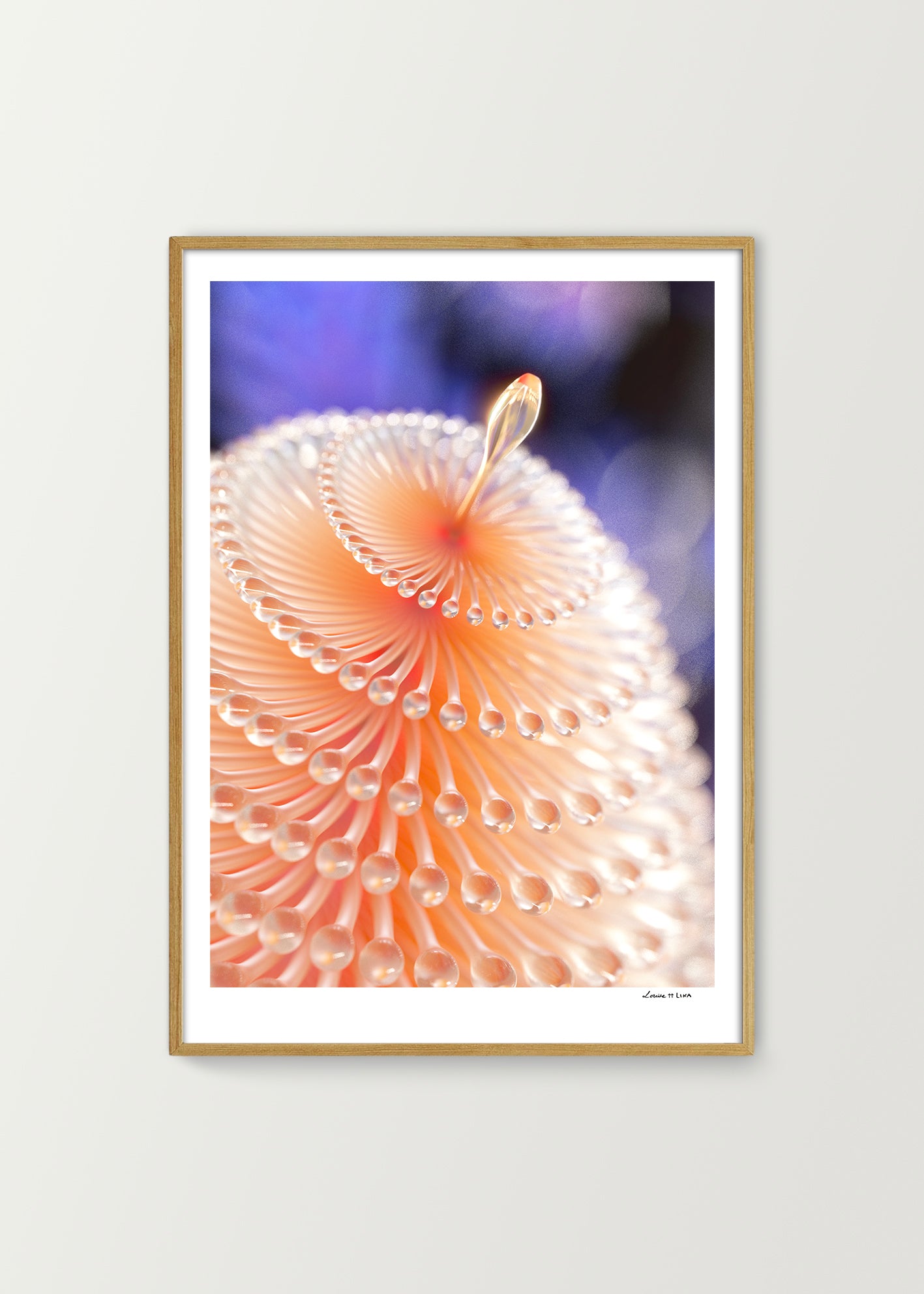 Banksia