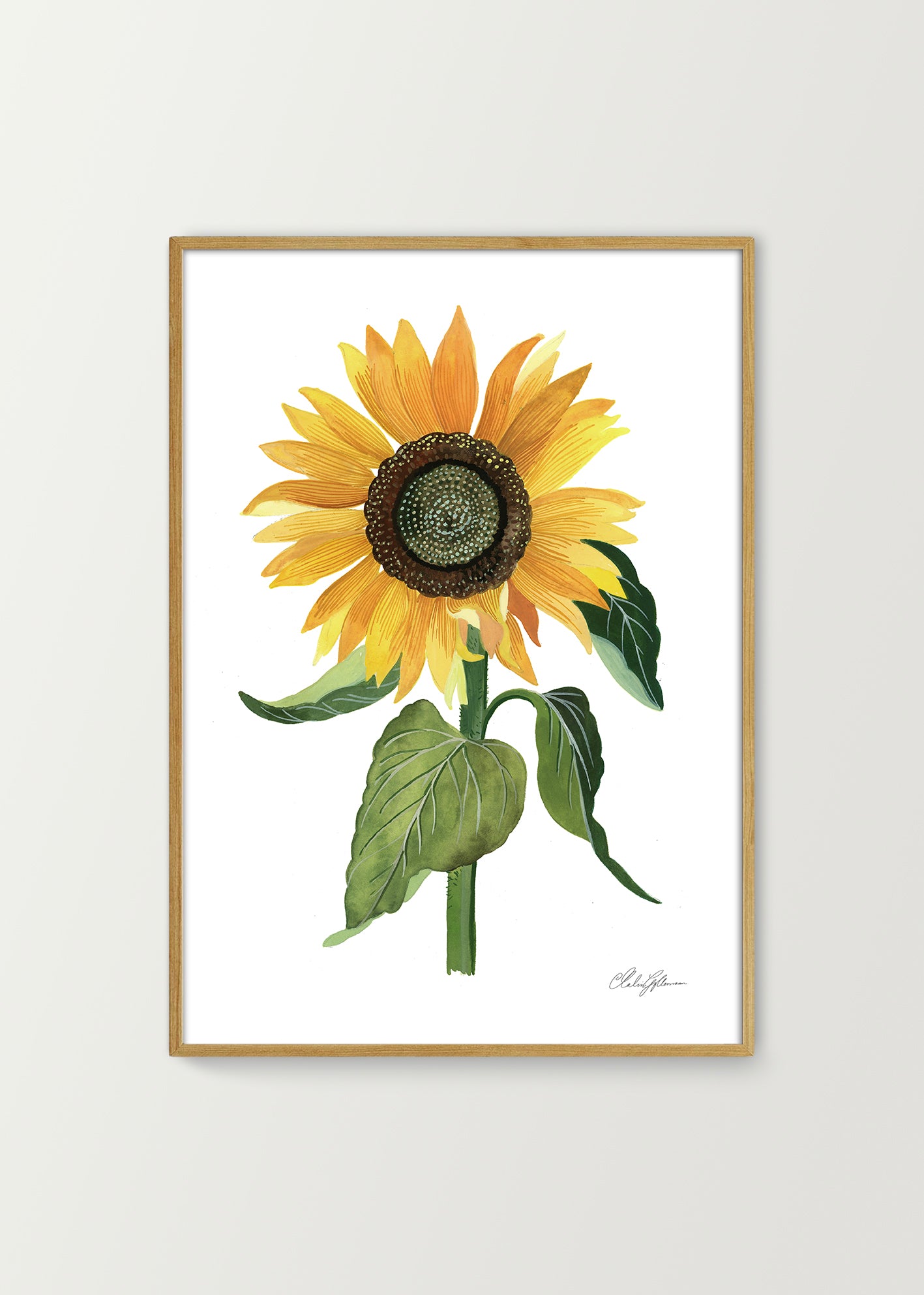 Sunflower